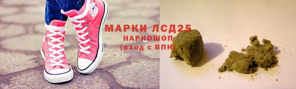 ГАЛЛЮЦИНОГЕННЫЕ ГРИБЫ Кулебаки