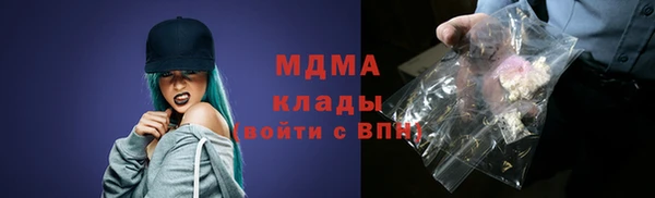 твердый Ладушкин
