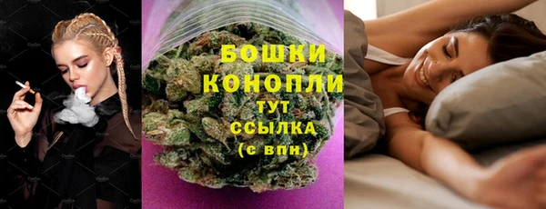 ГАЛЛЮЦИНОГЕННЫЕ ГРИБЫ Кулебаки