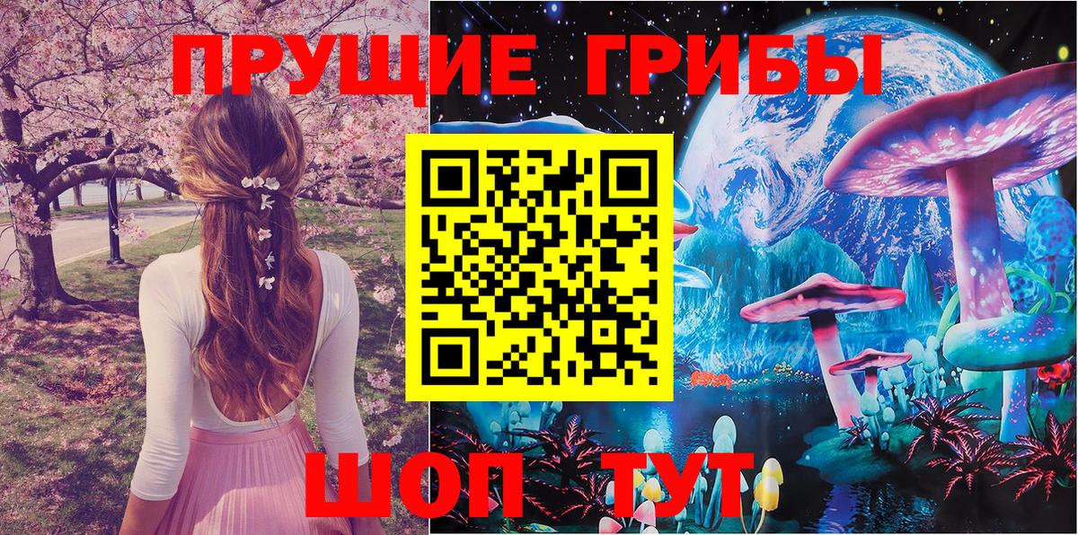 хочу наркоту  Вход с VPN  Троицк  Галлюциногенные грибы прущие грибы 